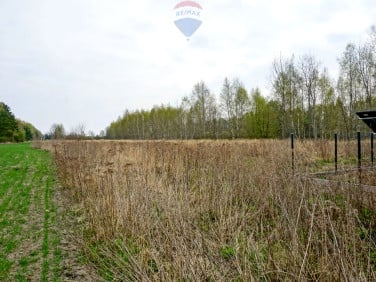 Działka SKIERNIEWICE