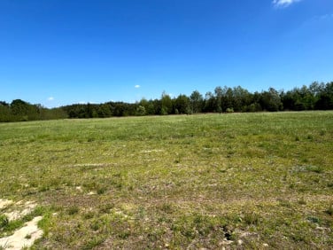 Działka Sierzchów