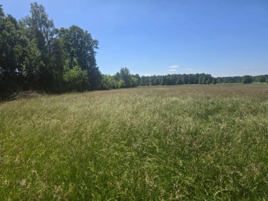 Działka siedliskowa Białki