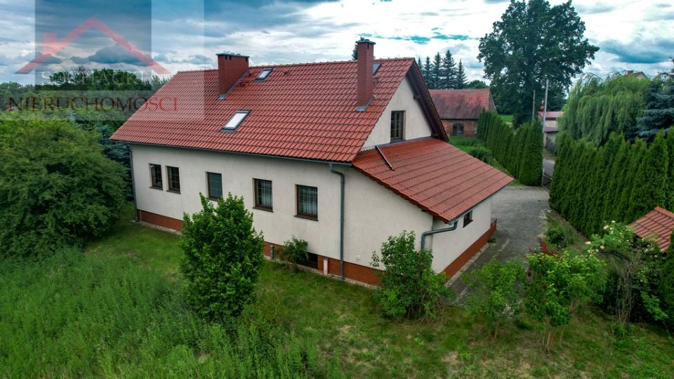 Zdjęcie 3