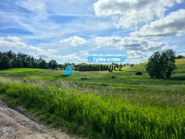 Działka Głodowo