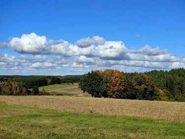 Działka budowlana Strzepcz