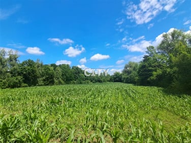 Działka budowlana Bogunów