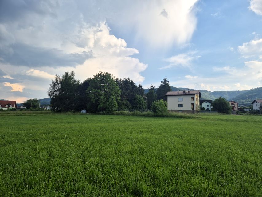 Zdjęcie 3