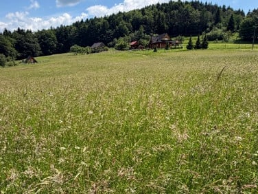 Działka budowlana Tarnawa Dolna