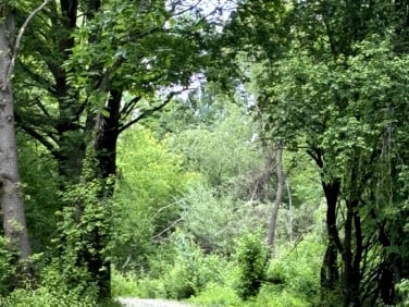 Działka budowlana sprzedam