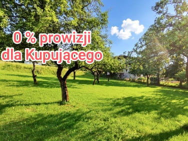 Działka Świnna