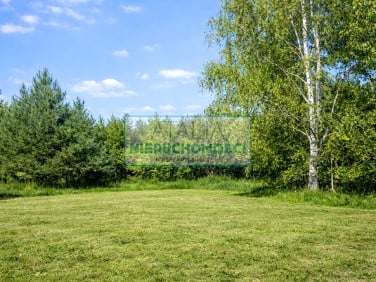 Działka Jastrzębnik