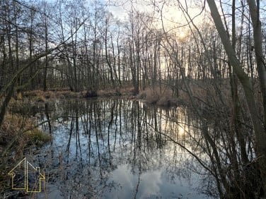 Działka Gostynin