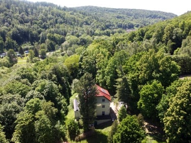 Lokal nyski