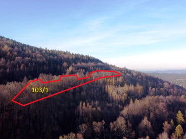 Działka karkonoski