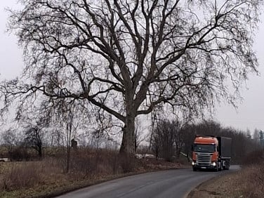 Działka siedliskowa Skarszyn