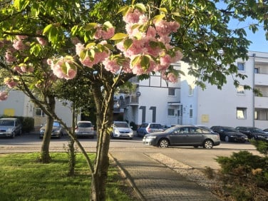 Mieszkanie Poznań