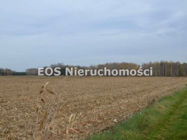 Działka rolna Nieczajna Górna