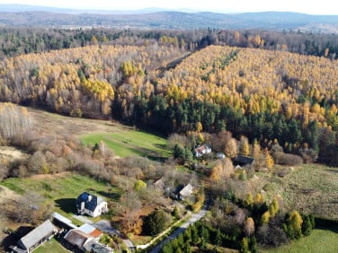 Działka Cisów