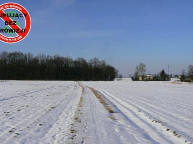 Działka budowlana Krężnica Jara