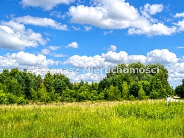 Działka budowlana Niwy