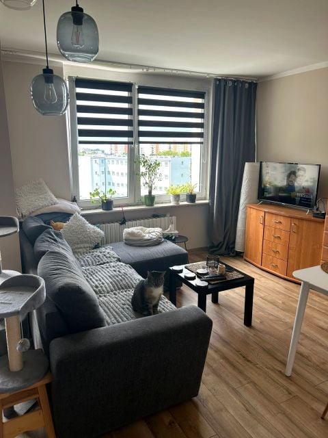Mieszkanie Zielona Góra