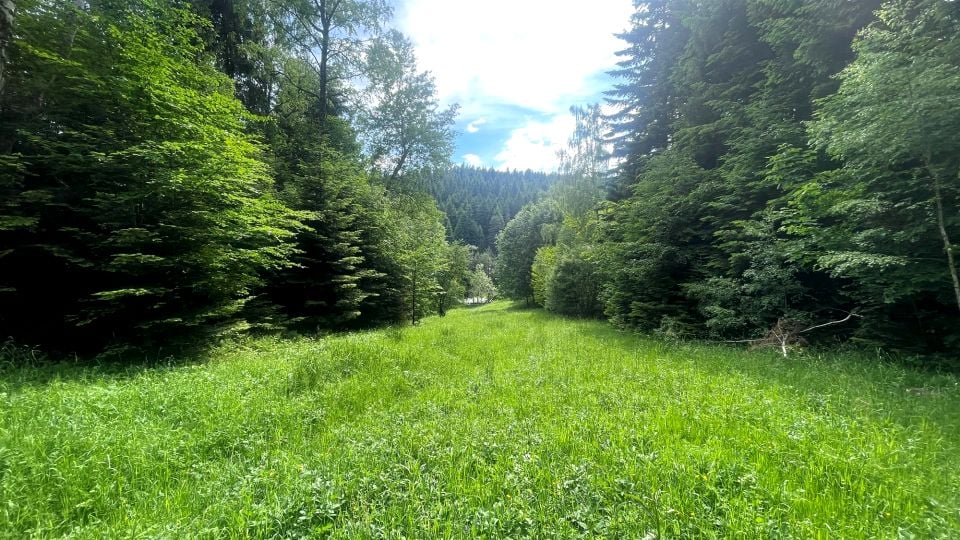 Działka Krynica-Zdrój