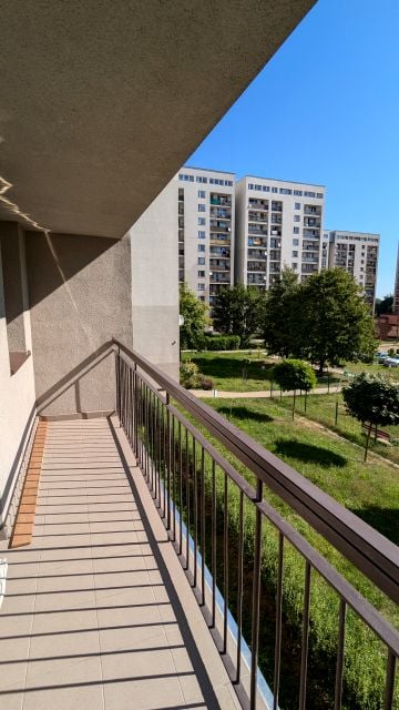 Zdjęcie 3