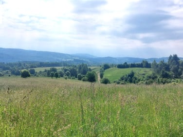 Działka Grzmiąca