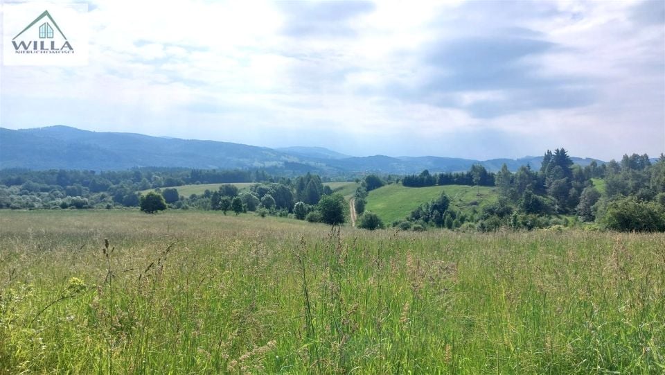Działka Grzmiąca
