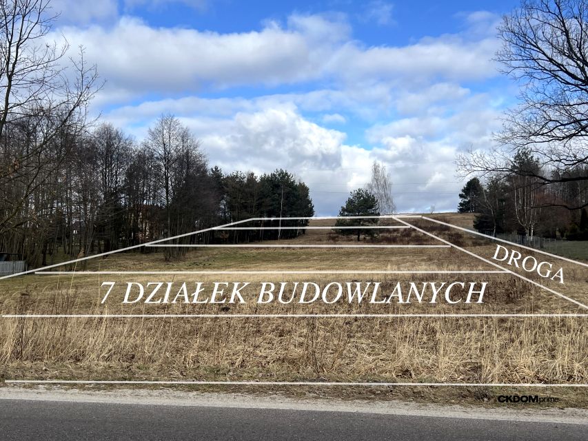 Zdjęcie 2