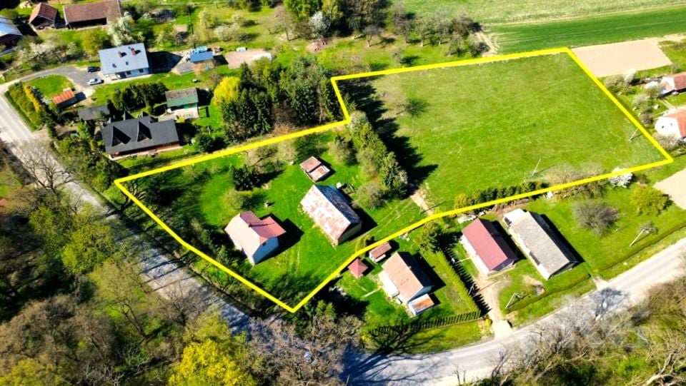Dom Wzdów