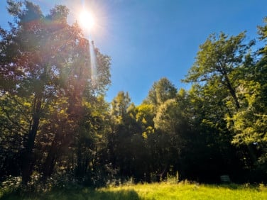 Ogrodzona działka STRAŻÓW