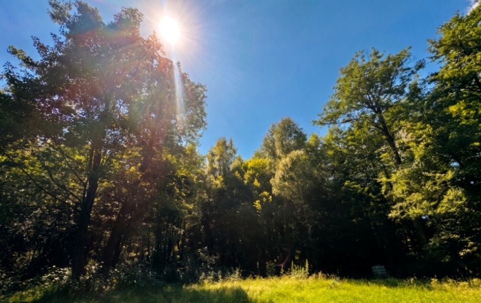 Ogrodzona działka STRAŻÓW