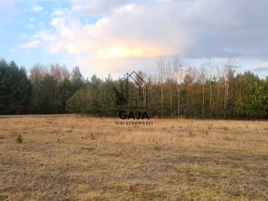 Działka rekreacyjna Nowa Wieś