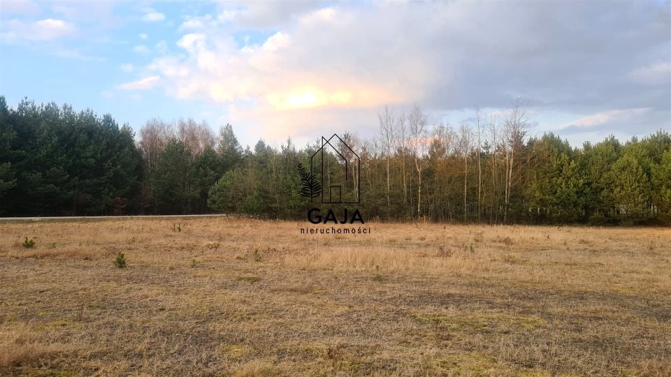 Działka rekreacyjna Nowa Wieś
