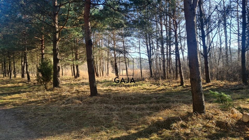 Działka budowlana Masłońskie