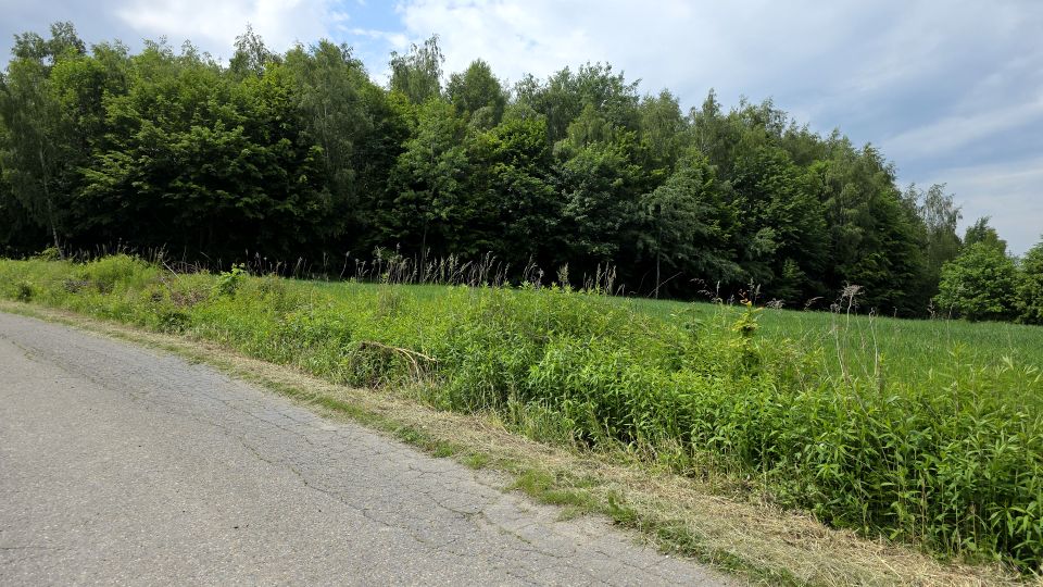 Zdjęcie 3