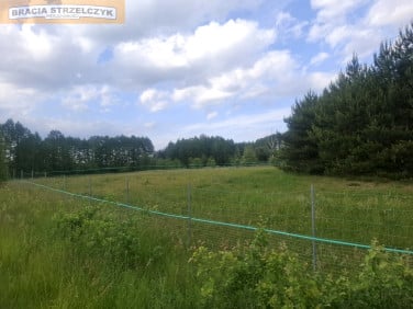 Działka Nowy Brańszczyk