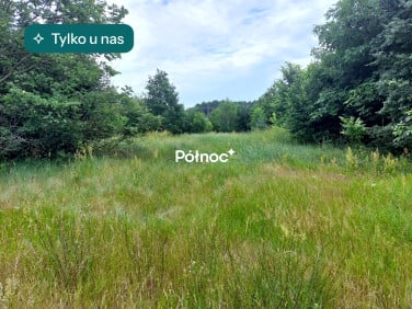 Działka budowlano-rolna Michałki