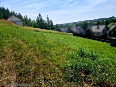 Działka budowlana Michałowice