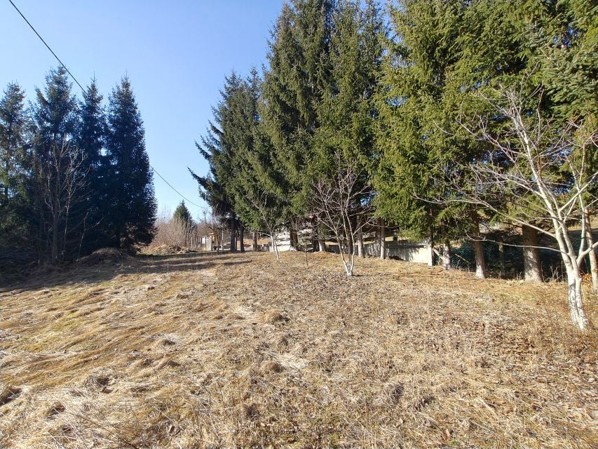 Zdjęcie 3