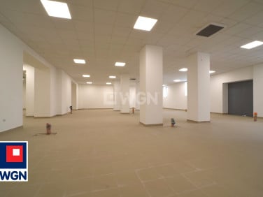 Lokal Legnica