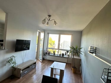 Mieszkanie Kielce