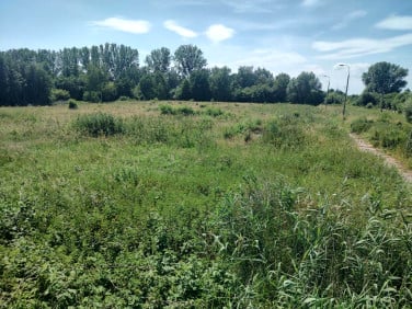 Działka przemysłowa Gronowo Górne