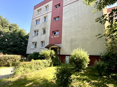 Mieszkanie Nowy Dwór Gdański