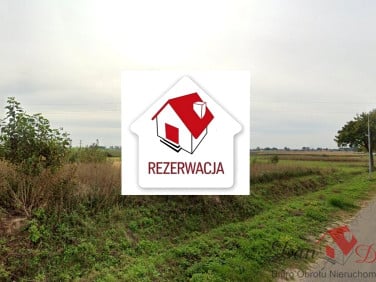 Działka Łekno