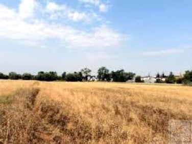 Działka inwestycyjna Niepruszewo