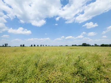 Działka budowlana Przeworsk sprzedam