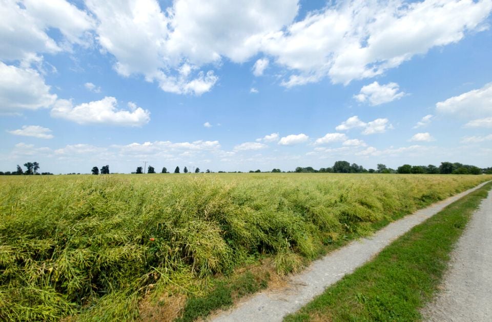 Działka budowlana Przeworsk