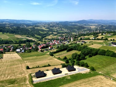 Dom Istebna