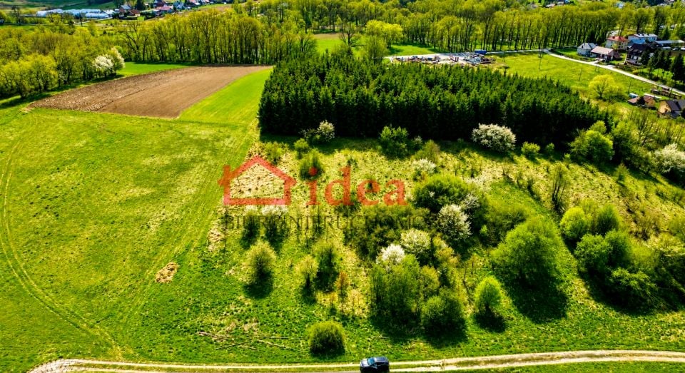 Zdjęcie 2