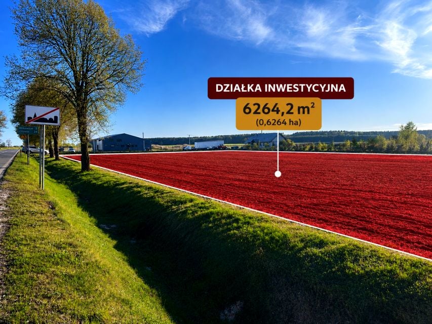 Zdjęcie 2