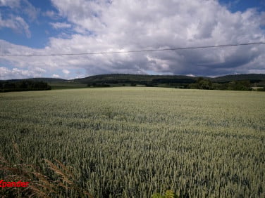 Działka Fredropol